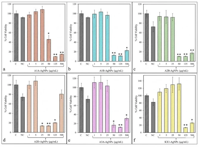 A1A-AgNP(a)、A1B-AgNP(b)、A2B-AgNP(c)、A2D-AgNP(d)、A3A-AgNP(e)、KX1-AgNP(f)对成纤维细胞活力(%)的剂量依赖性影响,C:对照组,NC:1% DMSO,采用MTT法测定。数据以均值±标准差表示(n = 3)。**采用单因素方差分析并进行Tukey事后检验(* p < 0.05,p < 0.01 vs. 对照组)。