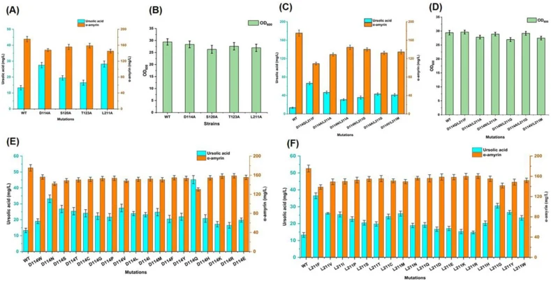 Structure-guided mutagenesis of CYP716A48 improves ursolic acid production. (A) Ursolic acid and α-amyrin production in single-site mutants (D114A, S120A, T123A, and L211A) compared with the wild-type strain (YU4). (B) Cell growth (OD 600 ) of the strains shown in panel (A). (C) Ursolic acid and α-a