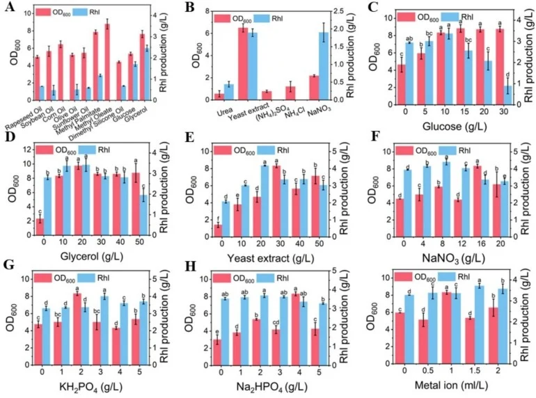 Optimization of fermentation medium for rhamnolipid production using response surface methodology in the strain P. putida AB-Δflag. Effects of various carbon sources (A) and nitrogen sources (B) on rhamnolipid titer. (C-I) Effects of varying concentrations of glucose (C), glycerol (D), yeast extract