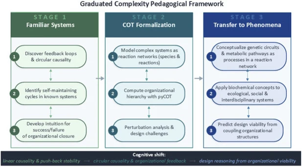 Graduated complexity framework for COT-based education. Students first develop organizational intuition by modeling familiar non-biological systems (Stage 1), then formalize this intuition using reaction networks and the pyCOT platform (Stage 2), and finally transfer organizational reasoning to synt