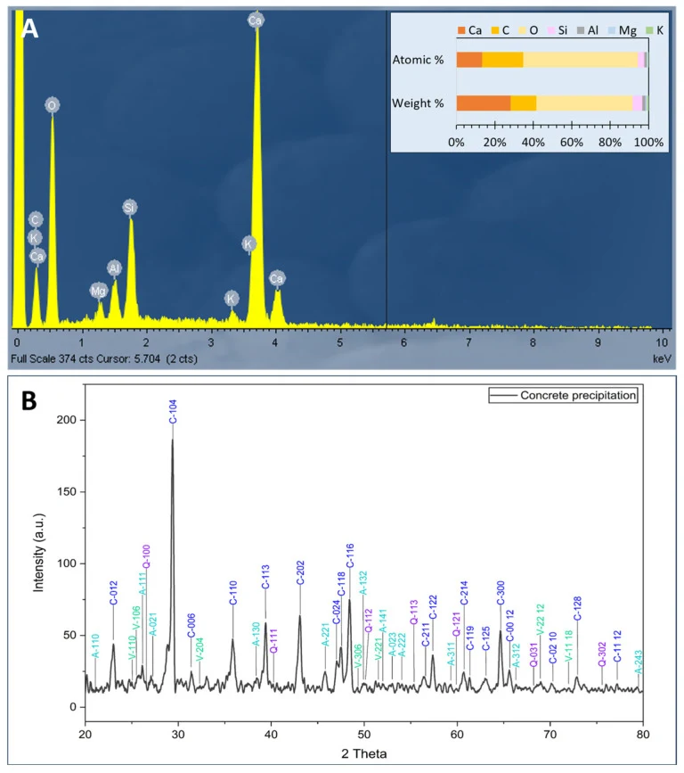 Compositional analysis of mineral crystals collected from cracks in ITBMC36-treated mortar specimens. ( A ) EDS spectrum showing elemental composition, circle labels on the peaks indicate identified elements. ( B ) XRD diffraction patterns; the letters A, V, C, and Q correspond to aragonite, vaterit