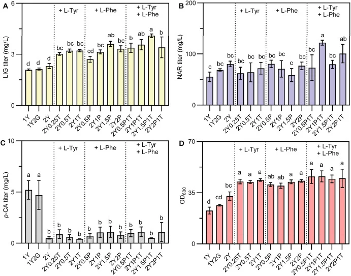 LIG生物合成发酵培养基的优化。(A)不同培养基中LIG的产量。(B)不同培养基中NAR的产量。(C)不同培养基中残留p-CA效价。(D)不同培养基中的OD600。缩写如下:LIG,