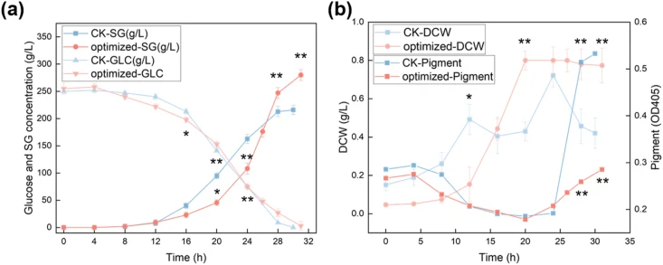 Fermentation performance between the control group (CK) and the optimized strategy in a 50 L bioreactor. (a) Time-course profiles of glucose consumption and sodium gluconate (SG) production. (b) Cell growth and product quality: Time-course profiles of Dry Cell Weight and pigment accumulation. Error