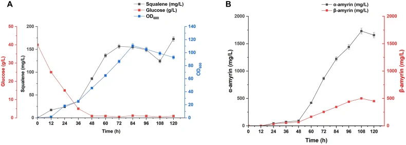 5-L生物反应器发酵过程中角鲨烯、α-香树脂醇、β-香树脂醇、生物量和葡萄糖消耗的时间曲线。(A) 葡萄糖浓度(红色方块)、角鲨烯浓度(黑色方块)和600 nm光密度(OD 600,蓝色方块)随时间变化。(B) α-香树脂醇(黑色方块)和β-香树脂醇(红色方块)浓度随时间变化。所有数据代表三个独立生物学重复的平均值±标准差(SD)(P < 0.05)。