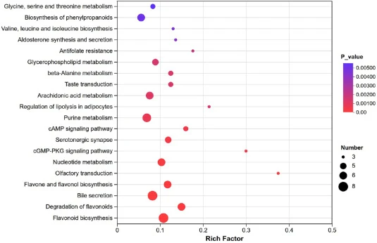 Kyoto Encyclopedia of Genes and Genomes (KEGG) pathway enrichment analysis of differential metabolites in S. cerevisiae under Jiupei polyphenol stress. The analysis was performed using data from n = 3 independent biological replicates comparing the PSC group (supplemented with 2 mg/mL of polyphenol
