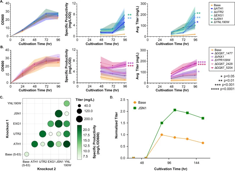 Characterization of best-performing strains in extended cultivations and in combination. A Optical densities (OD 600 ), specific productivity (mg/L/OD 600 ), and titers (mg/L) of strains with disrupted cell wall genes producing trastuzumab in extended 50 mL cultivation. Shaded error bars represent s
