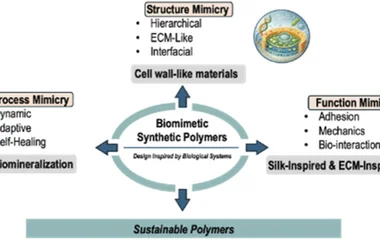 仿生聚合物遇上合成生物学：可持续材料走向精准表征