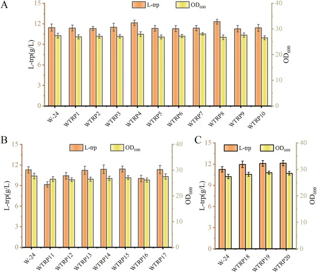 Functional evaluation of candidate transcriptional regulators affecting L-tryptophan production. (A) L-tryptophan production and cell growth of strains overexpressing candidate upregulated transcriptional regulators. (B) L-tryptophan production and cell growth of strains carrying deletions of candid
