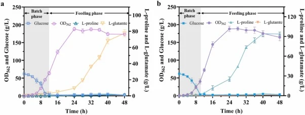 The fermentation performance in a 5-L fermenter. (a) C. glutamicum S9114. Sterile glucose was fed at 12 h to maintain the glucose concentration at ∼ 5 g/L. (b) C. glutamicum Pro-7. Sterile glucose was fed at 10 h to maintain the glucose concentration at ∼ 5 g/L. The data represent mean values and st