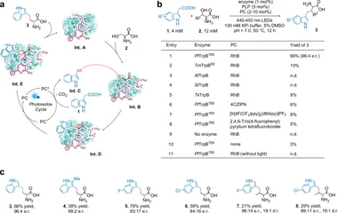 Integrating microbial cell factory with new-to-nature photobiocatalysis for de n