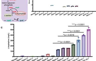 光生物催化耦合微生物细胞工厂实现D-高色氨酸从头合成