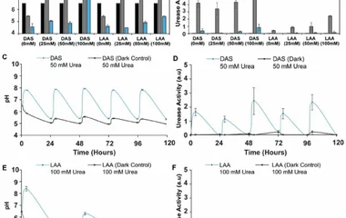Investigating the effects of urea concentration on system longevity over multiple cycles of nutrient replenishment. Time