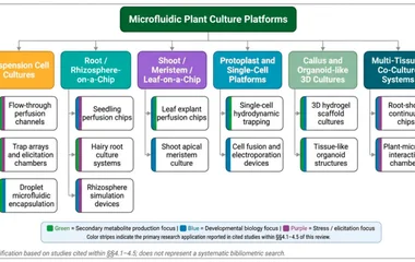 Taxonomy of microfluidic plant culture platforms reviewed in this manuscript. Six major platform categories are identifi