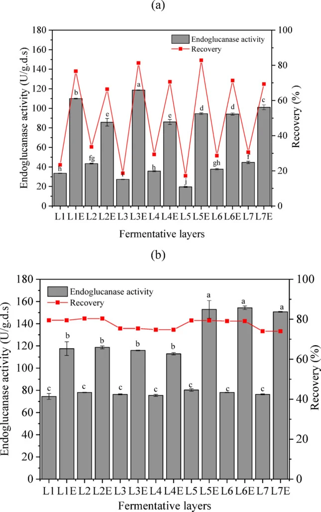 Endoglucanase activity and recovery per module obtained from SSF assays with M. thermophila (SCB: WB ratio of 7:3 w/w) i