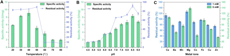 Enzymatic characteristics of AsPPGMK. (A) Optimal temperature and thermal stability. Enzymatic activity was assessed at temperatures from 20 to 80 °C. Thermal stability was assessed by incubating enzyme solutions at the indicated temperatures for 1 h, followed by measurement of residual activity. (B