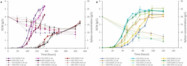 Growth and xylose consumption of adapted xylose-utilising strains on xylose media. A comparison of the aerobic growth levels of xylose-utilising strains on synthetic complete 20 g/L xylose (SCX) media and their xylose-utilisation after aerobic adaptation on xylose media for a) three and b) fifteen r