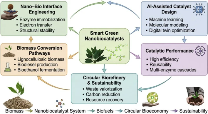 Smart nanobiocatalysts for waste-to-biofuel conversion: inte