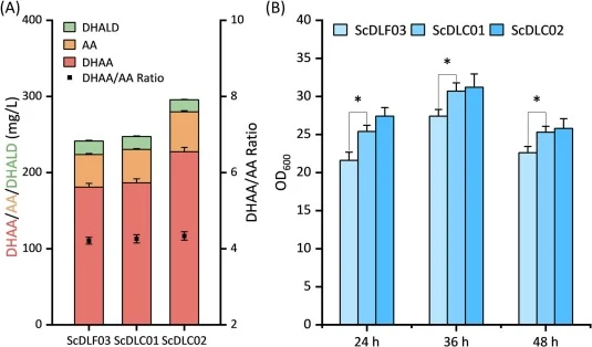 (A) dihydroartemisinic acid (DHAA), artemisinic acid (AA), and artemisinic aldehyde (ALD) titers at 84 h in the strains ScDLC01 (DL fusion in Ty1 site), and ScDLC02 (DL fusion in rDNA site), and ScDLF03 (DL fusion in pRSII326, as control). (B) OD600 values at 24, 36, and 48 h (p.i.) of strains ScDLC
