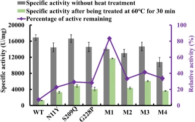The comparison of the residual specific activity after heat-treatment at 60 °C for 30 min between WT and mutants. M1, M2, M3 and M4 represent the combined mutants N11Y/S209Q, N11Y/G228P, S209Q/G228P, and N11Y/S209Q/G228P respectively. The specific activities of all enzymes were determined under stan