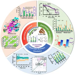 β-Glucanase engineering oriented to industrial biorefinery: