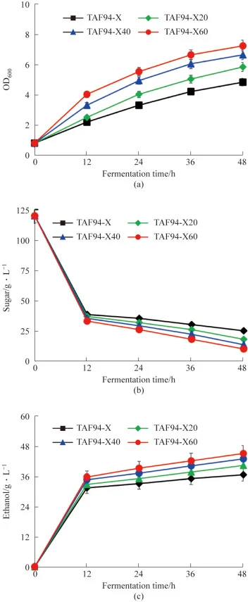 Lignocellulosic ethanol production by engineered strain TAF94-X and its adapted strains TAF94-X20, TAF94-X40 and TAF94-X60 using non-detoxified CS hydrolysate containing 40 g·L−1 xylose and 80 g·L−1 glucose. Fermentation profiles of (a) OD600; (b) sugars; (c) ethanol.
