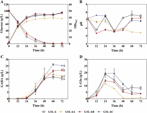 GABA production of GSL-6 derived strains harboring intracellularly expressed or surface displayed Lsgad expression plasmid in shake flasks. (A) Growth (solid lines) and glucose consumption (dashed lines). (B) Changes of the pH during fermentation. (C) Production of GABA. Values with different alphab