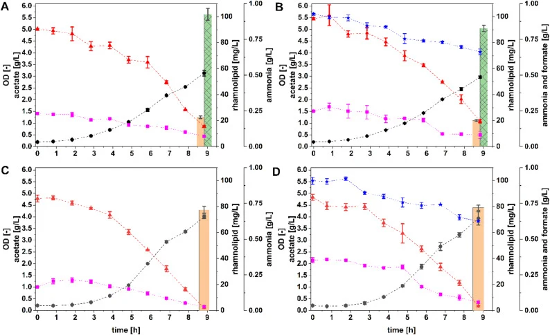 Co-feeding of rhamnolipid producers with acetate and formate. Acetate in red triangles, formate in blue asterisks, OD in black dots, ammonia in purple squares. Mono-rhamnolipid as brown bar, Di-rhamnolipid as green hatched bars. A , B : cultivation diagrams of P. putida JAG1; C , D : cultivation dia