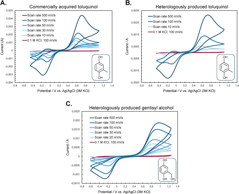 Electrochemical characterization of the heterologously produced toluquinol and gentisyl alcohol by cyclic voltammetry. (A) Voltammogram at different scan rates of commercially acquired toluquinol dissolved in 1 M KCl. (B) Voltammogram of heterologously produced toluquinol. (C) Voltammogram of hetero