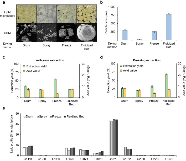 Impact of drying method on lipids extraction yield, acid value, and fatty acid profile. (a) Light microscopy and scanning electron microscope (SEM) images of biomass subjected to drum drying, spray drying, freeze drying, and fluidized bed granulation drying. (b) Particle size distribution across dif