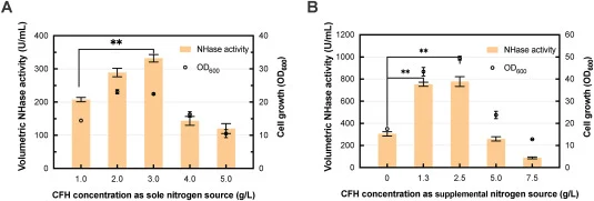 Impact of CFH concentration and nitrogen-supply strategies on NHase production and biomass accumulation of Rhodococcus sp. SCUT10. (A) Profiles of volumetric NHase activity (U/mL) and cell growth (OD600) using CFH as the sole nitrogen source at various concentrations (1.0–5.0 g/L). (B) Synergistic e
