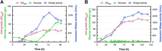 Scaling up the fermentation of Rhodococcus sp. SCUT10 in a 7-L stirred-tank bioreactor: Comparison of two glucose-feeding strategies. Profiles of cell growth (OD600), residual glucose concentration, and volumetric NHase activity are shown for two distinct regimes. (A) Constant-rate feeding: Glucose
