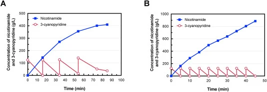 Intensified fed-batch biocatalysis for ultra-high titer nicotinamide production using resting cells of Rhodococcus sp. SCUT10. Biotransformations were conducted in 100-mL flasks (20 mL working volume) at 26 ± 2 °C with intermittent feeding of 3-cyanopyridine (1.2 mol/L or 126 g/L per pulse). (A) Tim