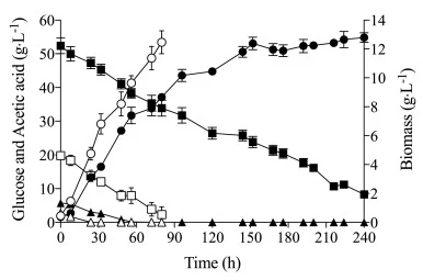 Biomass (●, ○), glucose (■, □), and acetic acid (▲, △) concentration obtained in Y. lipolytica W29 batch cultures carried out in Erlenmeyer flasks with diluted (open symbols) and undiluted (closed symbols) eucalyptus bark hydrolysate medium supplemented with 0.5 g⋅L−1 CSL and 1.8 g⋅L−1 (NH4)2SO4. Th