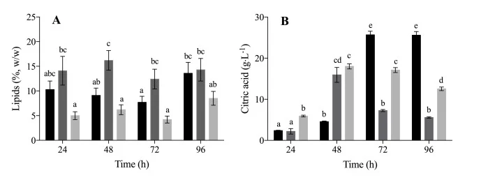 Microbial lipids content (A) and citric acid concentration (B) obtained in Y. lipolytica W29 batch cultures carried out in STR lab-scale bioreactor with undiluted eucalyptus bark hydrolysate supplemented with 1.8 g⋅L−1 (NH4)2SO4 and 0.5 g⋅L−1 CSL (black); 1.8 g⋅L−1 (NH4)2SO4 and 2 g⋅L−1 CSL (dark gr