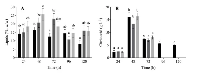 Microbial lipids content (A) and citric acid concentration (B) obtained in Y. lipolytica W29 batch cultures carried out in lab-scale bioreactor with undiluted eucalyptus bark hydrolysate, 2 g⋅L−1 CSL and 1.8 g⋅L−1 (NH4)2SO4 at different k L a conditions: 44 h−1 (black bars); 54 h−1 (dark grey bars);