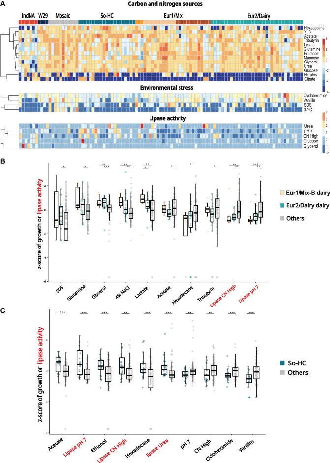 Phenotypic analysis of a subset of 105 Y. lipolytica strains encompassing the ecological diversity of the whole dataset (A) Heatmap of conditions in which populations behave significantly differently. For carbon and nitrogen sources, the parameter represented is the Z score of optical density 600 (O