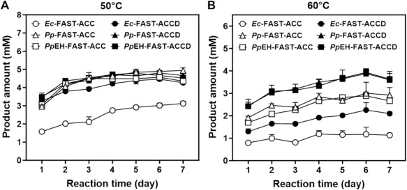 Time-course of PET degradation activity of FAST-ACC and variant T140D produced by E. coli and P. pastoris. The time-dependent GfPET degradation activity of FAST-ACC and FAST-ACC-T140D (FAST-ACCD) expressed by E. coli and P. pastoris was conducted at 50 °C and 60 °C. In both panels, the PET hydrolyti