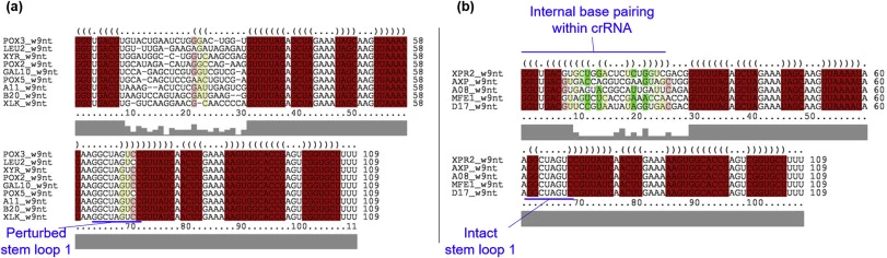 Consensus secondary structures of functional and non-functional sgRNAs. (a) Predicted consensus secondary structure of non-functional sgRNAs reveals a consensus perturbation of stem-loop 1 structure. (b) For functional sgRNAs (whose efficiencies are >50%), all loops are intact with only the linker r