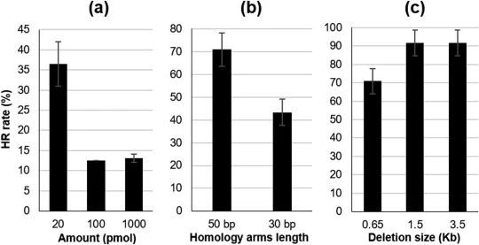 Gene knock out efficiency at XPR2 using TG design as a function of deletion template concentration, homology arms' length and deletion size. (a) About 3 times higher homologous recombination (HR) rate (%) was observed when using deletion templates at concentration of 20 pmol compared to 100 or 1000