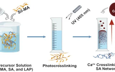 Aptamer-functionalized stiff hydrogel for enhanced BMSC enri