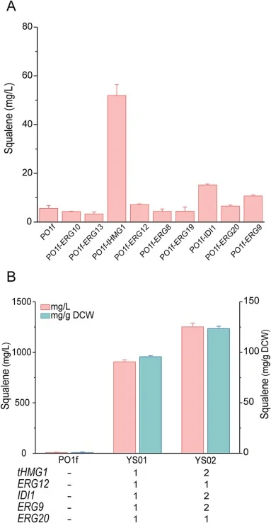 Overexpression of key genes for increasing metabolic flux of the MVA pathway. (A) Genes involved in the biosynthetic pathway were individually integrated into the genome to enhance the expression of the key rate-limiting enzymes for squalene synthesis. (B) Two rounds of multicopy integration of key