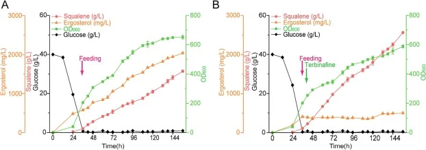 Squalene was produced in a 5-L fermenter. (A) Production of squalene without the addition of inhibitors. (B) Terbinafine (1 g/L) was added at 40 h in the fermentation process. Red arrows represent the time point at which glucose addition into the medium was started. Green arrows represent the time o
