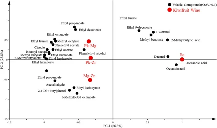 PCA biplots of volatile aroma compounds with rOAV >0.1 vs. kiwifruit wines. The large red points represent kiwi wines and the small black points represent volatile aroma compounds (rOAV >0.1). Sc represents the fermentation protocol inoculated with Saccharomyces cerevisiae WLS21 alone; Pk-Mg represe