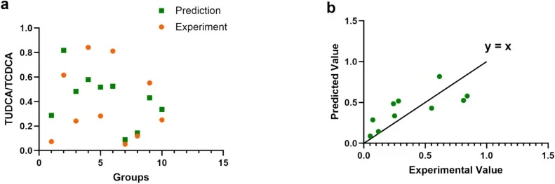 Independent validation of the ANN model using uniformly sampled conditions within the search space. (a) Comparison of ANN-predicted and experimentally measured values for 10 validation samples. (b) Scatter plot showing the correlation between predicted and experimental values. The diagonal line indi