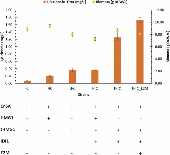 Effect of MVA pathway engineering on 1,8-cineole production. Three genes in the pathway (HMG1/tHMG1, IDI1, ERG20F88W-N119W (E2M)) were overexpressed iteratively in strain expressing heterologous 1,8-cineole synthase. Bars represent 1,8-cineole titers and dots represent biomass (g DCW/L). Titers of 1