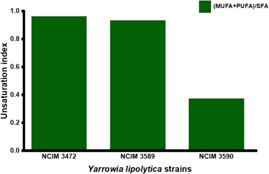 Ratiometric analysis of lipid composition across different strains based on relative area contributions of SFA, MUFA, and PUFA obtained from spectral data. The comparative ratios were used to categorize the strains into PUFA-containing, MUFA = SFA and SFA-rich groups, reflecting differences in fatty