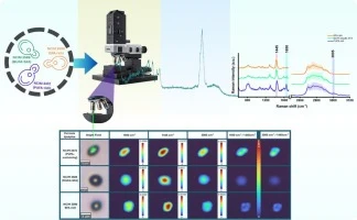 In situ assessment of unsaturated fatty acids using Raman sp