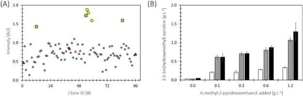 MALDI-TOF MS screening of a XylMA library with a randomly mutagenized XylM subunit expressed in E. coli RARE. (A) Normalized MALDI-TOF MS data of first-generation hits in 96 well plate format screened for the formation of 6. Hits (yellow), negative (red) and positive (green) controls are color-coded