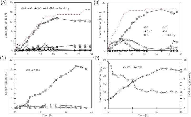 Biotransformations of lutidine 1 to 6 catalyzed by E.coli NEB expressing recombinant xylene monooxygenases. (A) Laboratory scale (1 L) cultivation of E. coli NEB expressing XylMAWT and (B) XylMM116GA. The red stippled line indicates the absolute cumulative amount of 1 added to the broth. (C) Pilot s