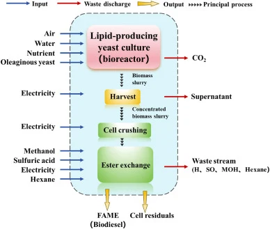 The flowchart illustrating the comprehensive process of life cycle assessment utilizing oleaginous yeasts to convert organic waste into microbial lipid.